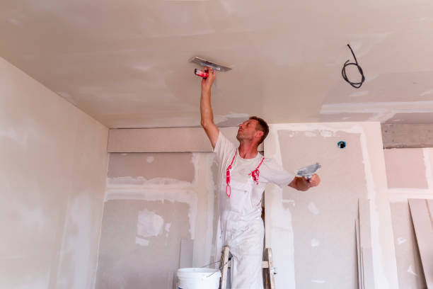 Best Fire-Damaged Drywall Repair  in Converse, IN